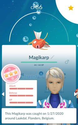 Magikarp raid deals boss